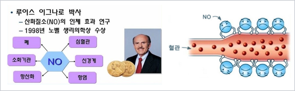 산화질소란