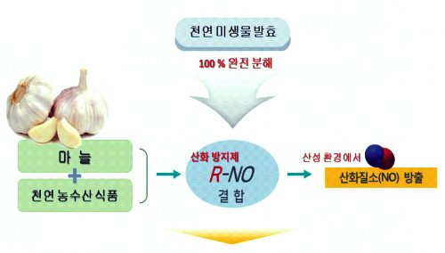 차별화된 기술