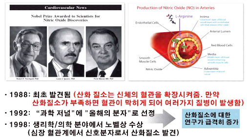 산화질소가 심혈관계에 미치는 영향에 관한 연구로 1998년 노벨 생리의학상 수상