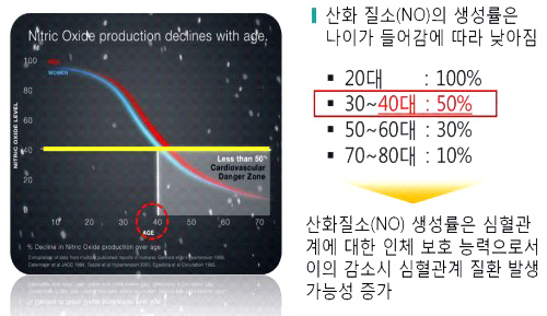 산화질소(NO)가 인체에 미치는 영향